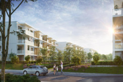 Supernova by Cordia Supernova by Cordia